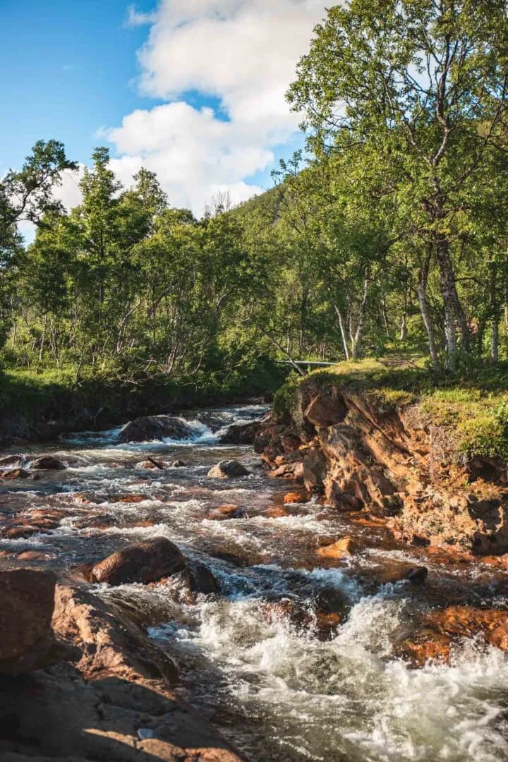 Elv som renner gjennom skog ved Storelva
