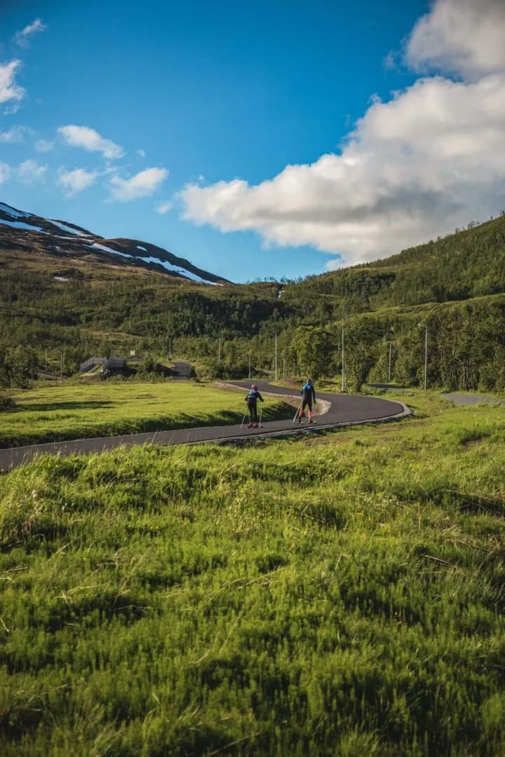 Kystlandskap ved Storelva