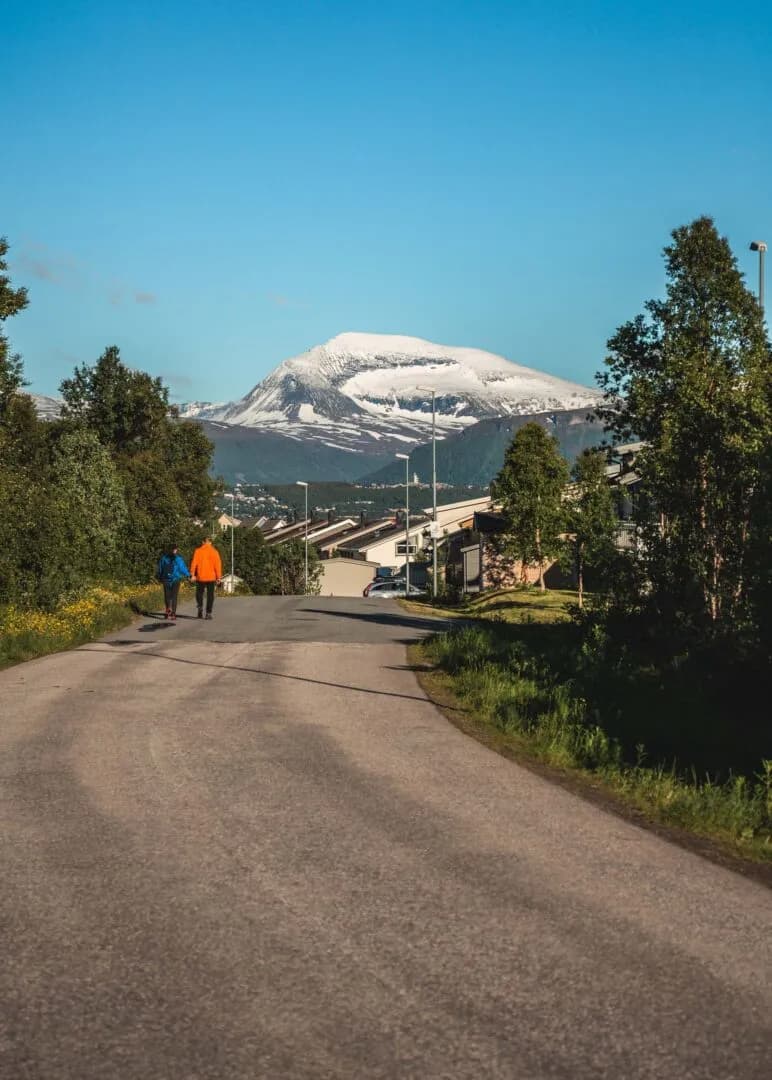 En rolig vei på Kvaløya med fjell i bakgrunnen